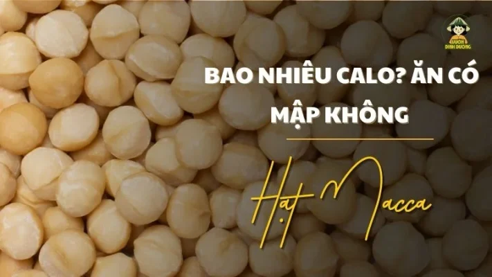 Hạt macca bao nhiêu calo?Ăn có mập không