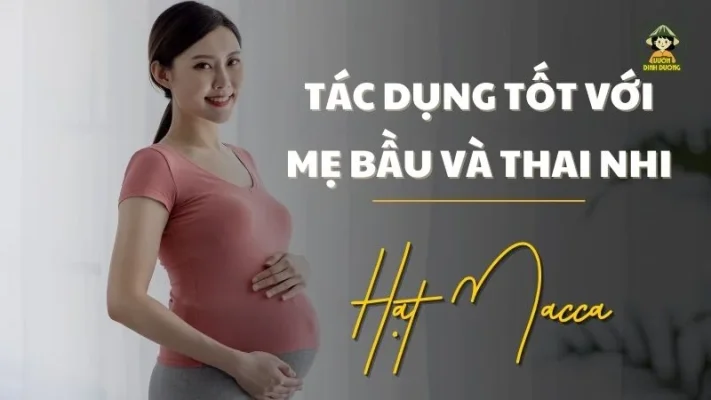 Hạt macca có tác dụng gì với mẹ bầu và thai nhi