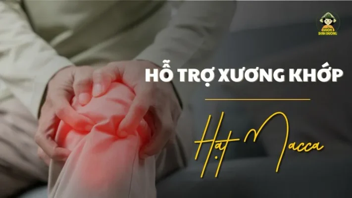 Hạt macca có tác dụng gì với xương khớp