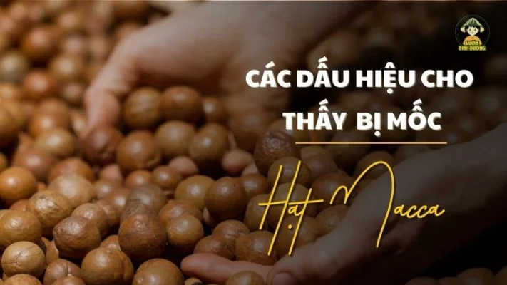 Các dấu hiệu cho thấy hạt macca bị mốc