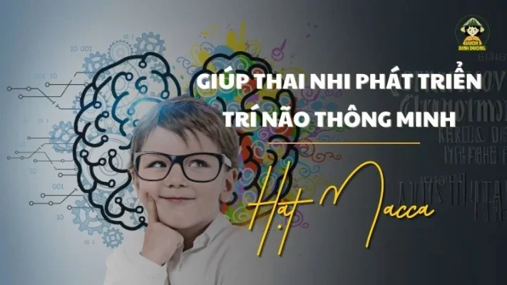 Hạt macca giúp thai nhi phát triển trí não