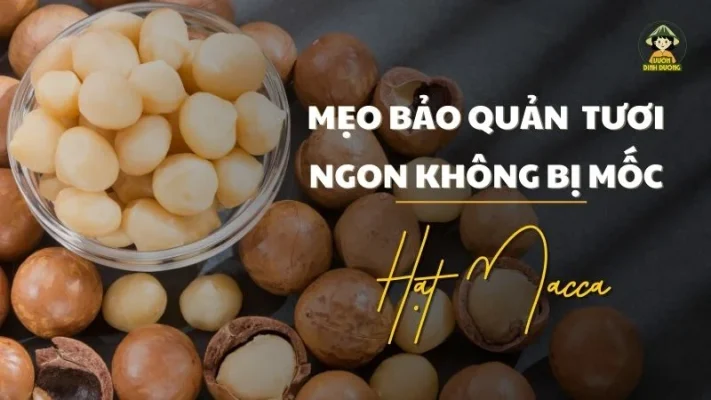 Mẹo bảo quản hạt macca tươi ngon không bị mốc