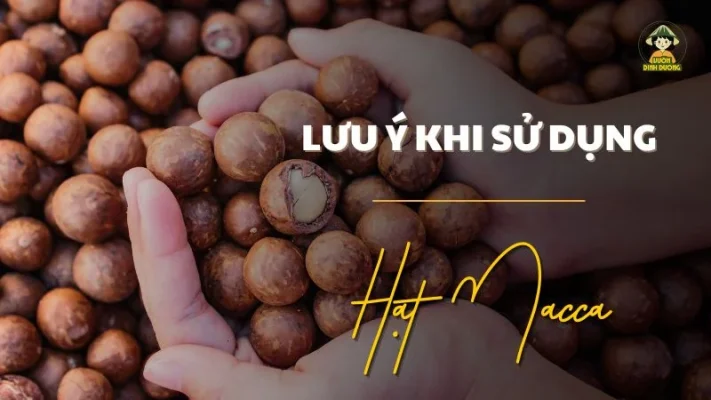 Lưu ý khi sử dụng hạt macca