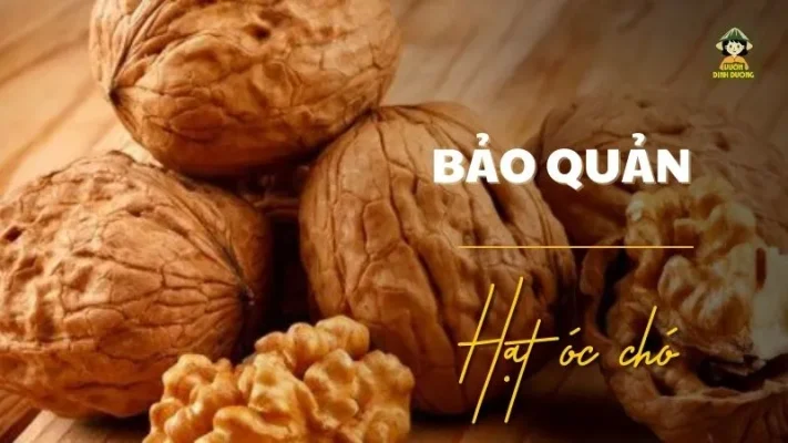 Cách bảo quản hạt óc chó