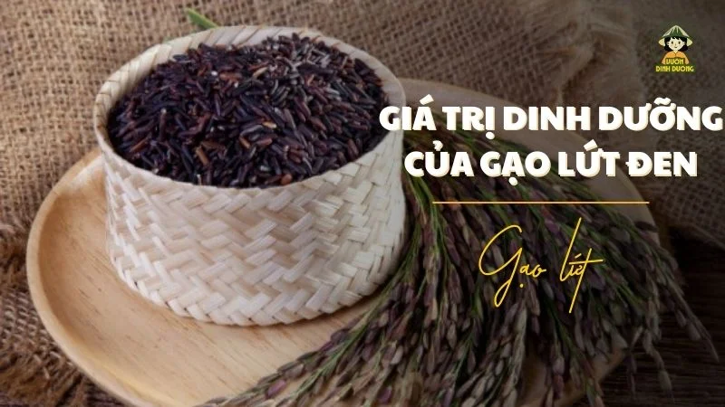 Tìm hiểu 100g gạo lứt đen bao nhiêu calo ?