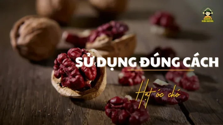 sử dụng đúng cách