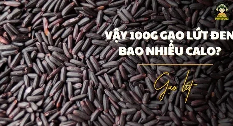 Tìm hiểu 100g gạo lứt đen bao nhiêu calo ?