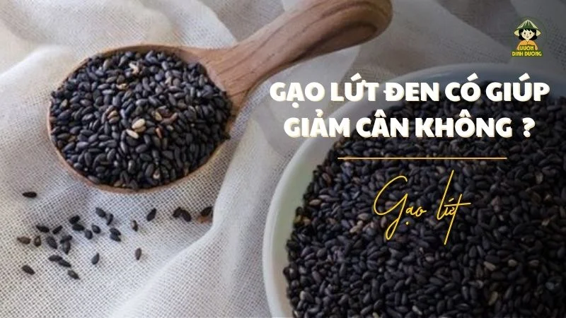 Giải đáp ăn gạo lứt đen có giảm cân không ?