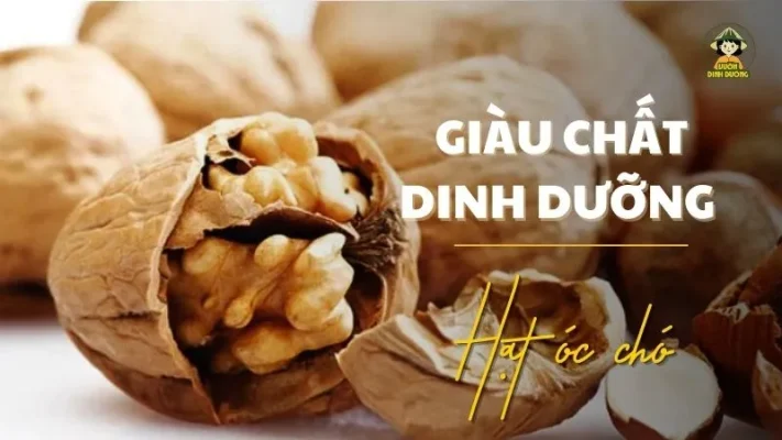 Hạt óc chó giàu chất dinh dưỡng