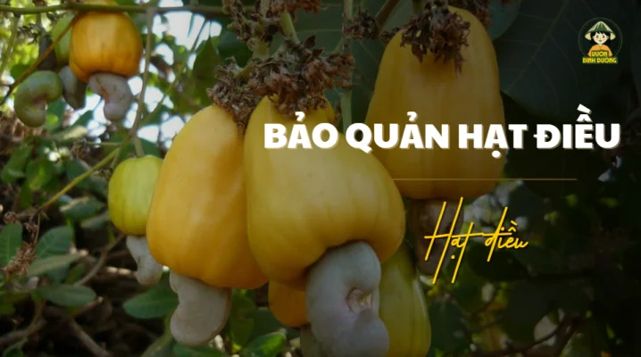 Quả hạt điều