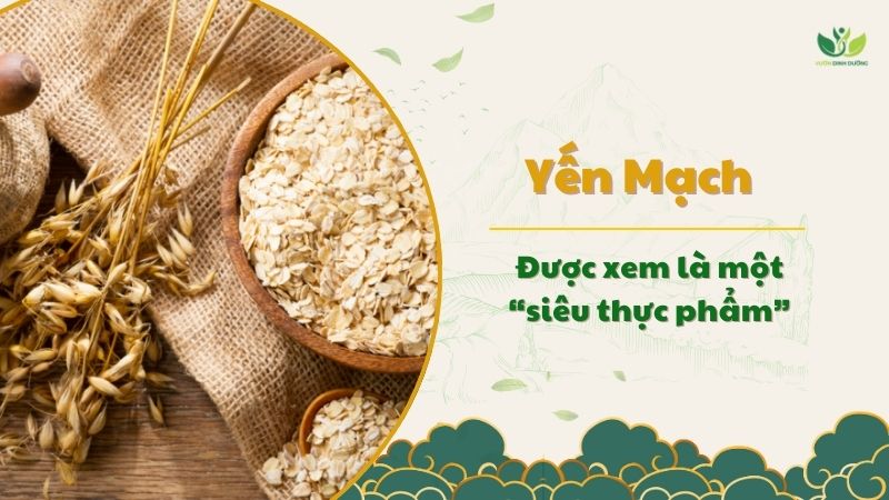 Yến mạch được xem là một siêu thực phẩm