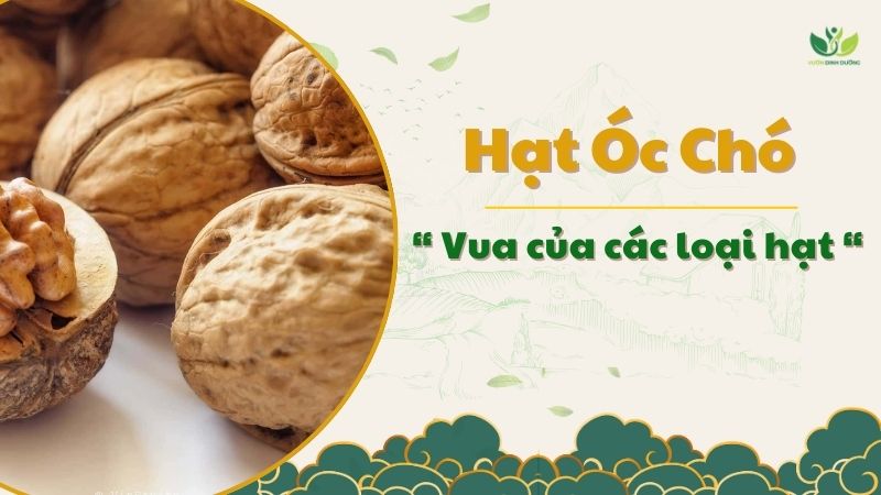 Hạt Óc Chó được ví như vua của các loại hạt