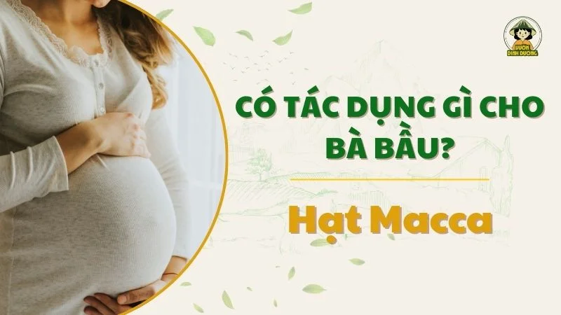 Hạt macca có tác dụng gì cho bà bầu