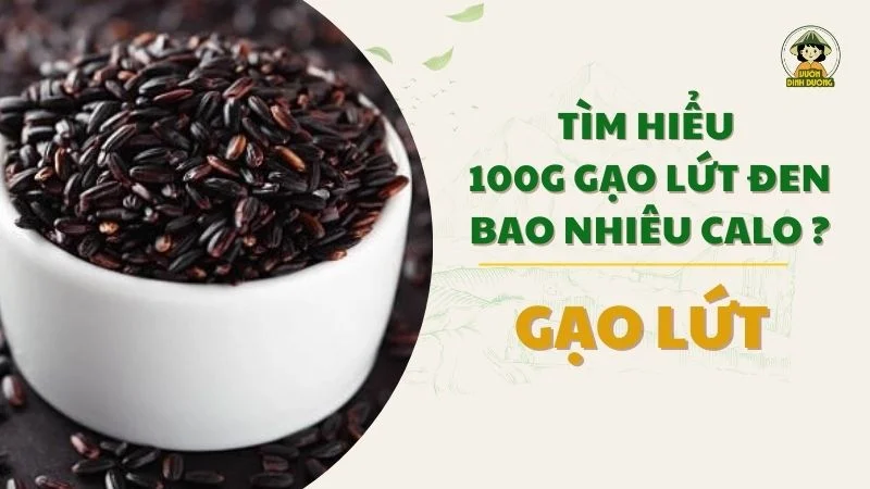 Tìm hiểu 100g gạo lứt đen bao nhiêu calo ?