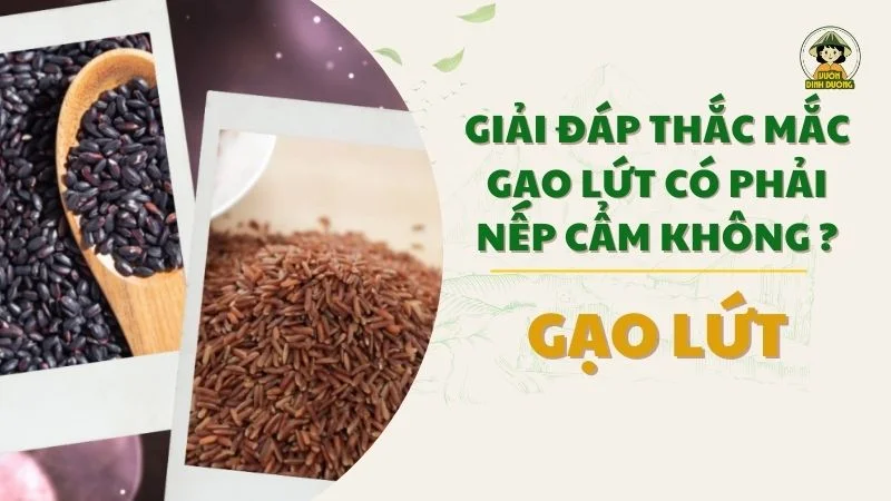 gạo lứt có phải nếp cẩm không