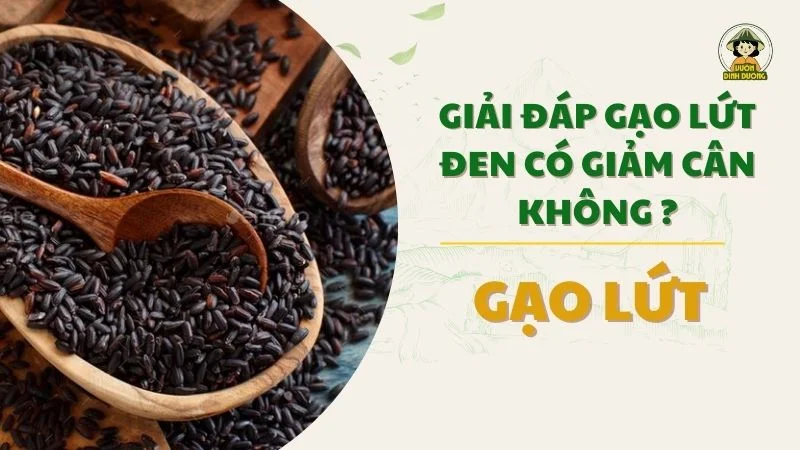 Giải đáp ăn gạo lứt đen có giảm cân không ?