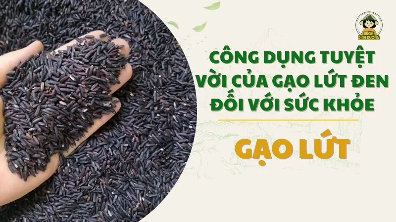 Công dụng tuyệt vời của gạo lứt đen đối với cơ thể