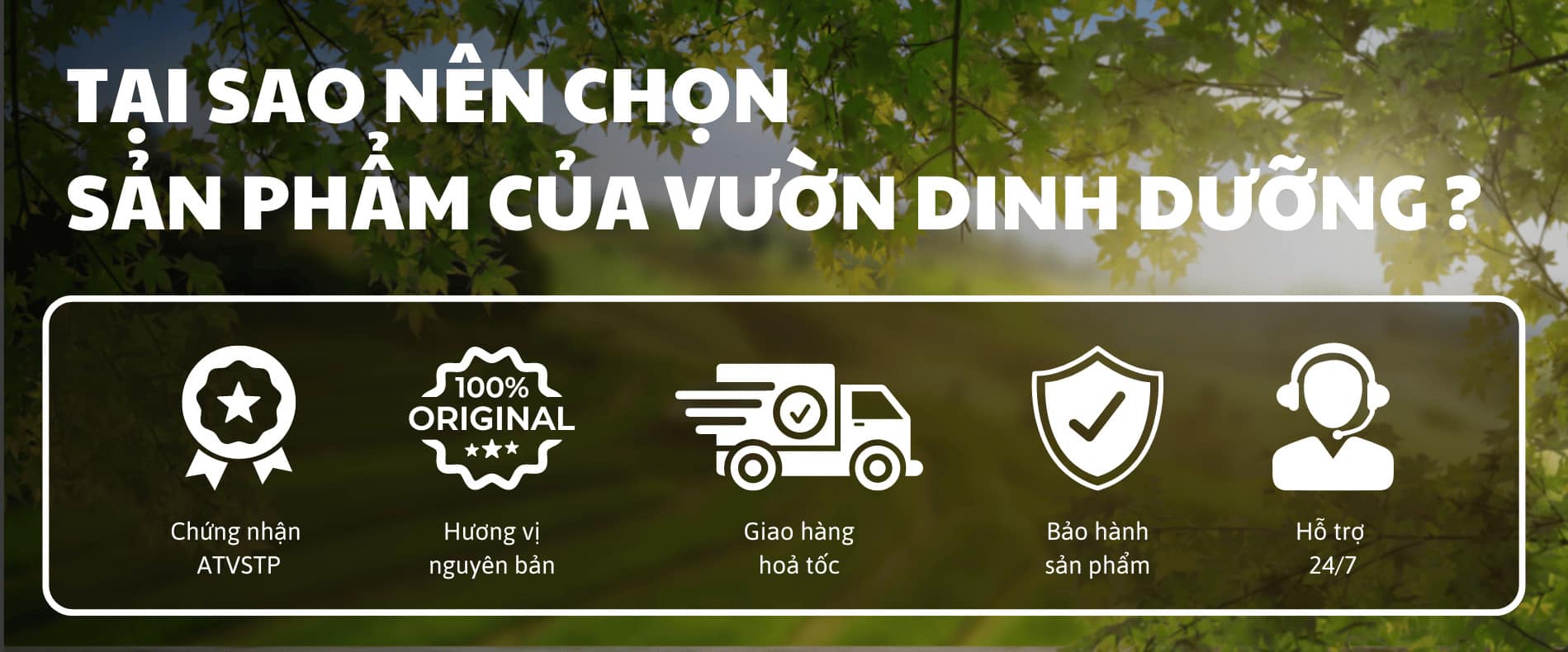 Banner chính sách đổi hàng vườn dinh dưỡng